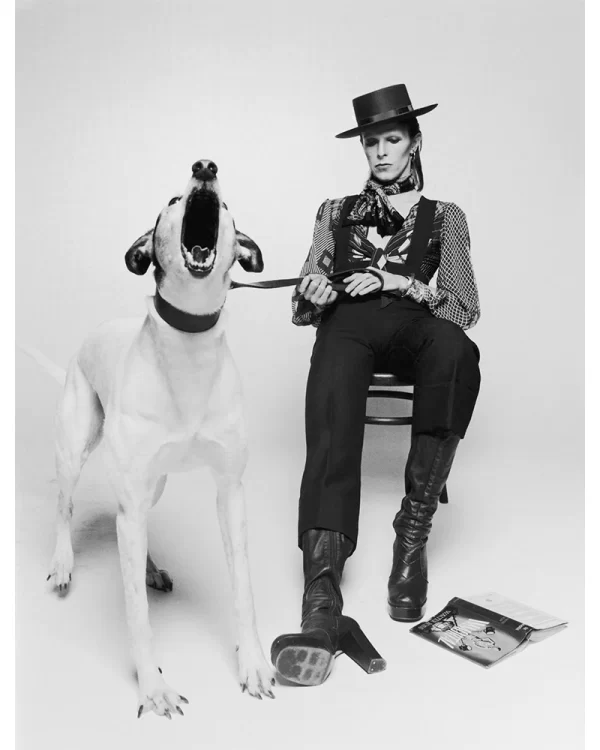 David Bowie with barking dog, 1974 — Limited Edition Print by Terry O'Neill